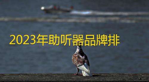 区突围透视辅助功能2023年助听器品牌排行榜前十名 助听器十大名牌你都知道吗